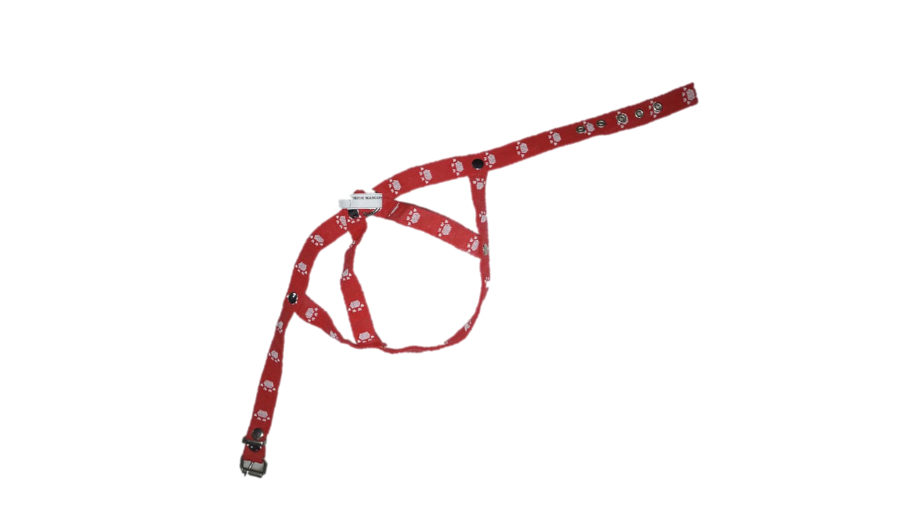PRETAL NYLON CHICO N 1